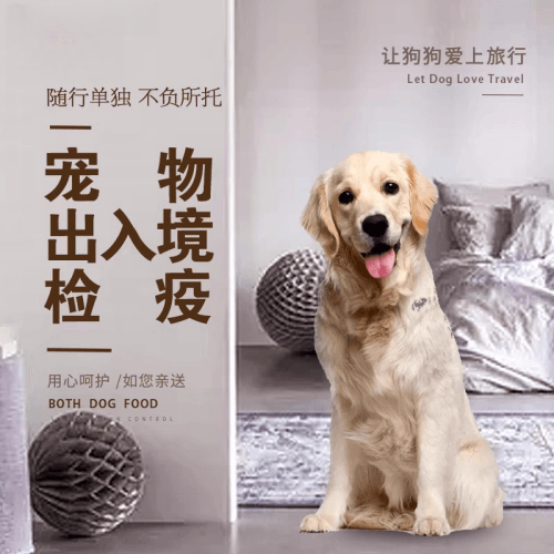 新竹县宠物托运到哥伦比亚猫狗宠物入境规定和