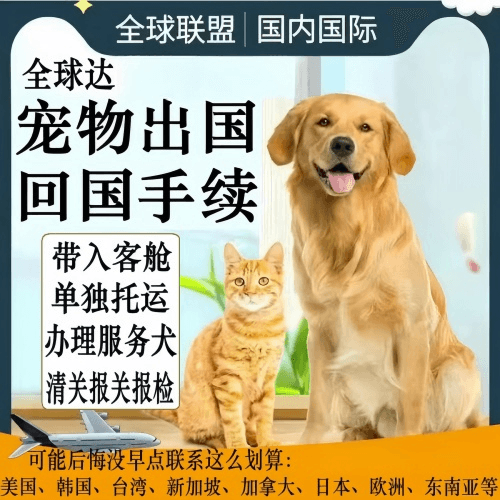 新竹县宠物托运到柬埔寨宠物入境规定和要求