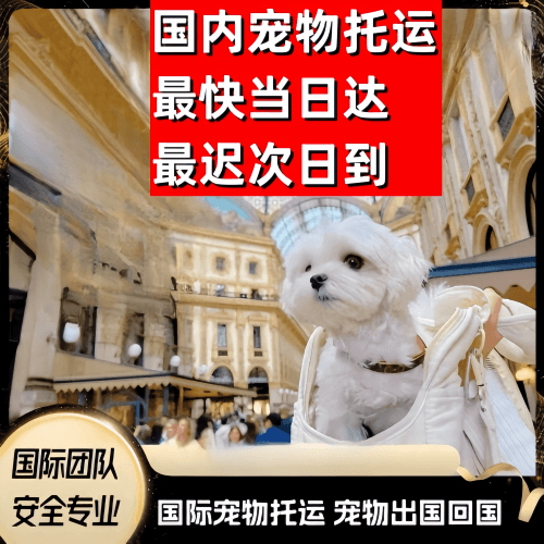新竹县到澳大利亚（澳洲）宠物入境规定和要求