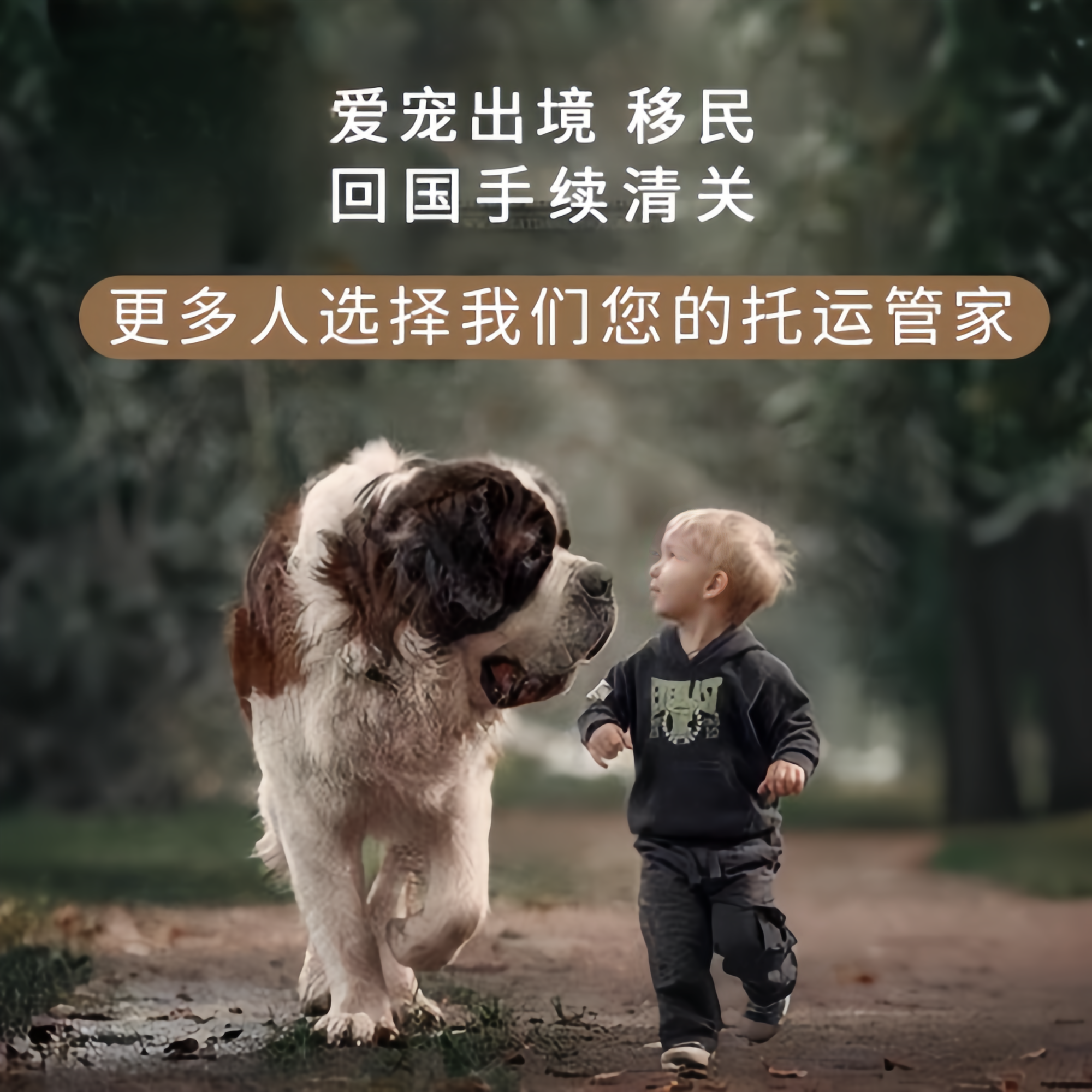 满财新竹县宠物全球达宠物托运在遵守入境目的地政策的条件